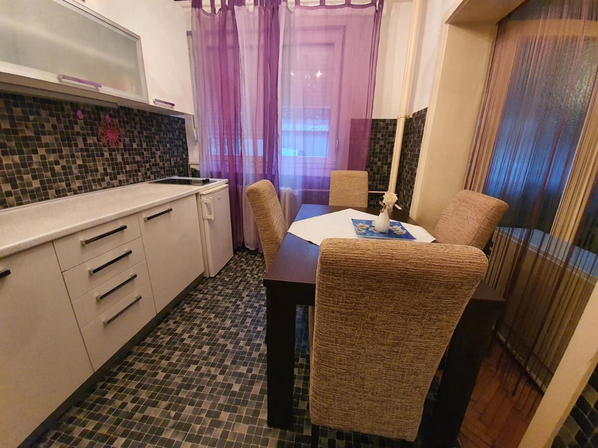 Central Park Studio Appartement Belgrado Buitenkant foto